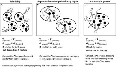 Of Apples and Oranges? The Evolution of “Monogamy” in Non-human Primates